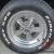 1969 Ford Mustang TRUE SHELBY GT 350 CONVERTIBLE