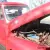 1955 Ford F-100