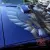 Pontiac Trans AM Smoky AND THE Bandit 1977 6 6 American Muscle 403 Shaker Nswreg in NSW