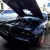 Pontiac Trans AM Smoky AND THE Bandit 1977 6 6 American Muscle 403 Shaker Nswreg in NSW