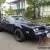 Pontiac Trans AM Smoky AND THE Bandit 1977 6 6 American Muscle 403 Shaker Nswreg in NSW