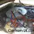 Very Low Miles and Original Condition