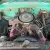 1962 International Harvester Other