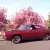 1968 Road Runner 2 door hard top, numbers matching except paint and interior