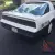1983 Pontiac Firebird Trans Am