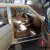1987 Rolls-Royce Silver Spirit/Spur/Dawn