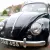 1954 Oval Beetle 