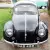  1954 Oval Beetle 