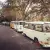 1971 Volkswagen Bus/Vanagon