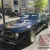 1976 Pontiac Trans Am 50th anniversary