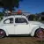 VW Beetle 1963 Deluxe Rego RAT ROD Volkswagen BUG in NSW