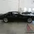 1981 Pontiac Firebird Trans-Am