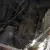 Austin A70 TWO Vehicles Restore OR Parts in VIC