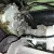 1958 BMW Isetta Coupe   -- Birch Green--