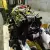 Lincoln : MKZ/Zephyr 4 door with sucide door
