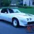 1981 Pontiac Trans Am TURBO NASCAR RECARO EDITION - TTOPS