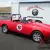 1962 Alfa Romeo Spider 1962 Alfa Romeo Giulietta Spider