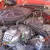 1981 Toyota Other