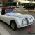 1954 Jaguar XK 1954 JAGUAR XK120 REPLICA