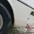 1976 Triump Stag Mk2 Barn Find