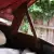 VW Beetle 61 Model Rare 50 50 Model in VIC
