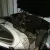 triumph spitfire