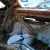  DODGE D100 TR EXPRESS STEP SIDE AMERICAN PICKUP TRUCK 1957 