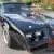 1979 Pontiac Trans Am