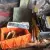 Ginetta G21/ kit car /rare/ rootes/ modified