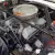 1965 Shelby GT350