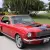 1966 Ford Shelby Cobra GT350Custom Tribute ResoMod 302 Manual Trans Cold AC
