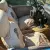 1978 MG Midget