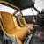 1972 Porsche 911 Nemesis