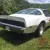 1980 Pontiac Trans Am