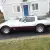 Chevrolet : Corvette Silver & Maroon
