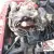 Escort XR3efi