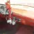 1963 Plymouth Belvedere