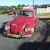  VW Volkswagen Beetle Type 1 RAT BUG 