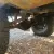 Toyota : Land Cruiser Off Road