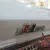 Lincoln : Continental 4 DOOR SUICIDE DOORS