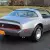 1979 Pontiac Trans Am 10th anniversary