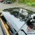 1981 Pontiac Firebird U19 BLACK/GOLD T TOPS TURBO