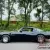1981 Pontiac Firebird U19 BLACK/GOLD T TOPS TURBO
