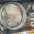 1981 Pontiac Firebird U19 BLACK/GOLD T TOPS TURBO
