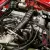 1989 Alfa Romeo Spider