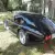 1966 Shelby  Daytona Coupe