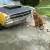 Dodge : Dart GT