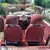 Morris Minor Convertible (Factory Original)