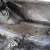 Ford : Mustang convertible