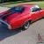 REAL SS! BURNOUT VIDEO! 100+ PICS! OVER $50K INVESTED!